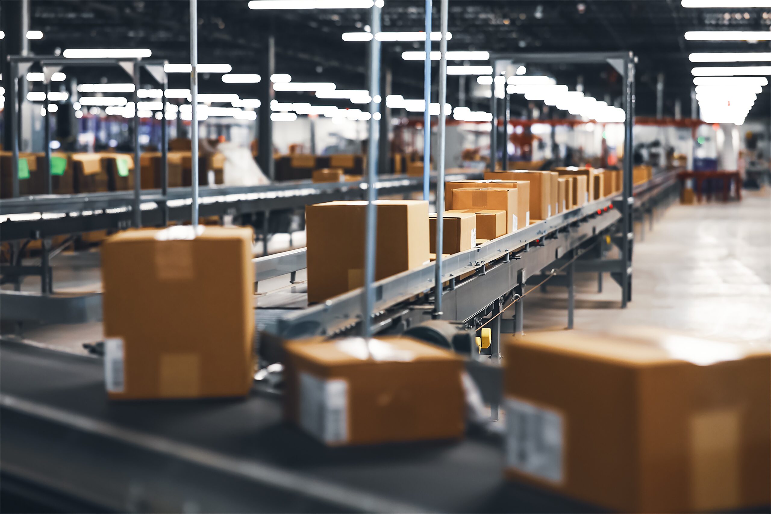 Packsize buys deeper into automated right-sized packaging Packsize buys deeper into automated right-sized packaging