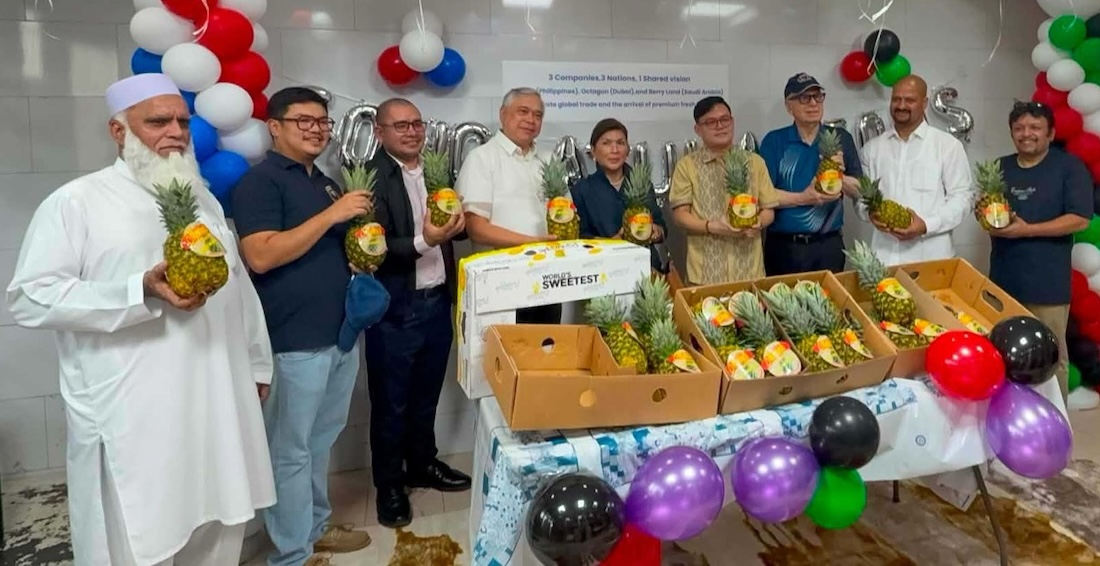 Philippine pineapples open a Gulf food logistics lane