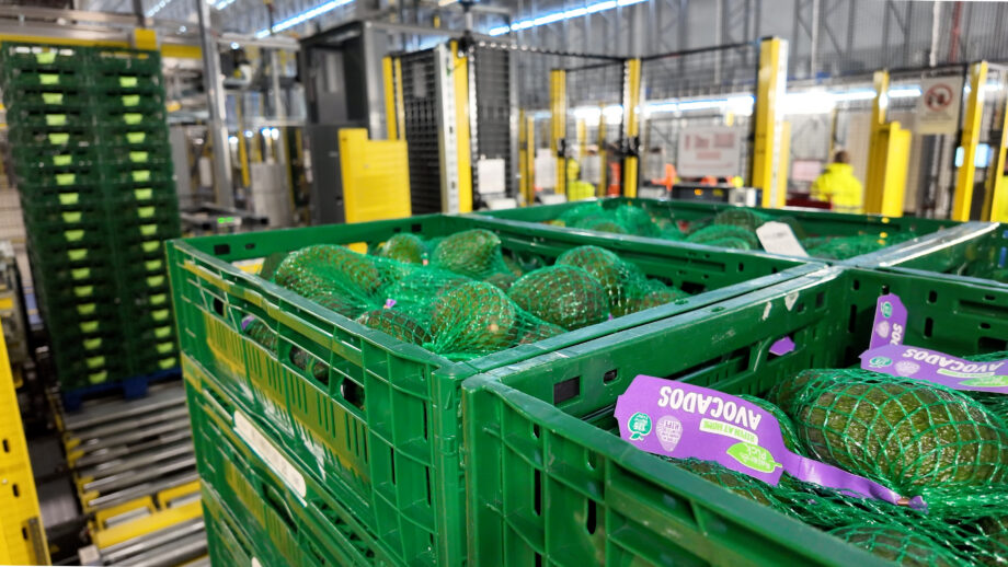 Aldi starts automated fresh produce operations at Bardon