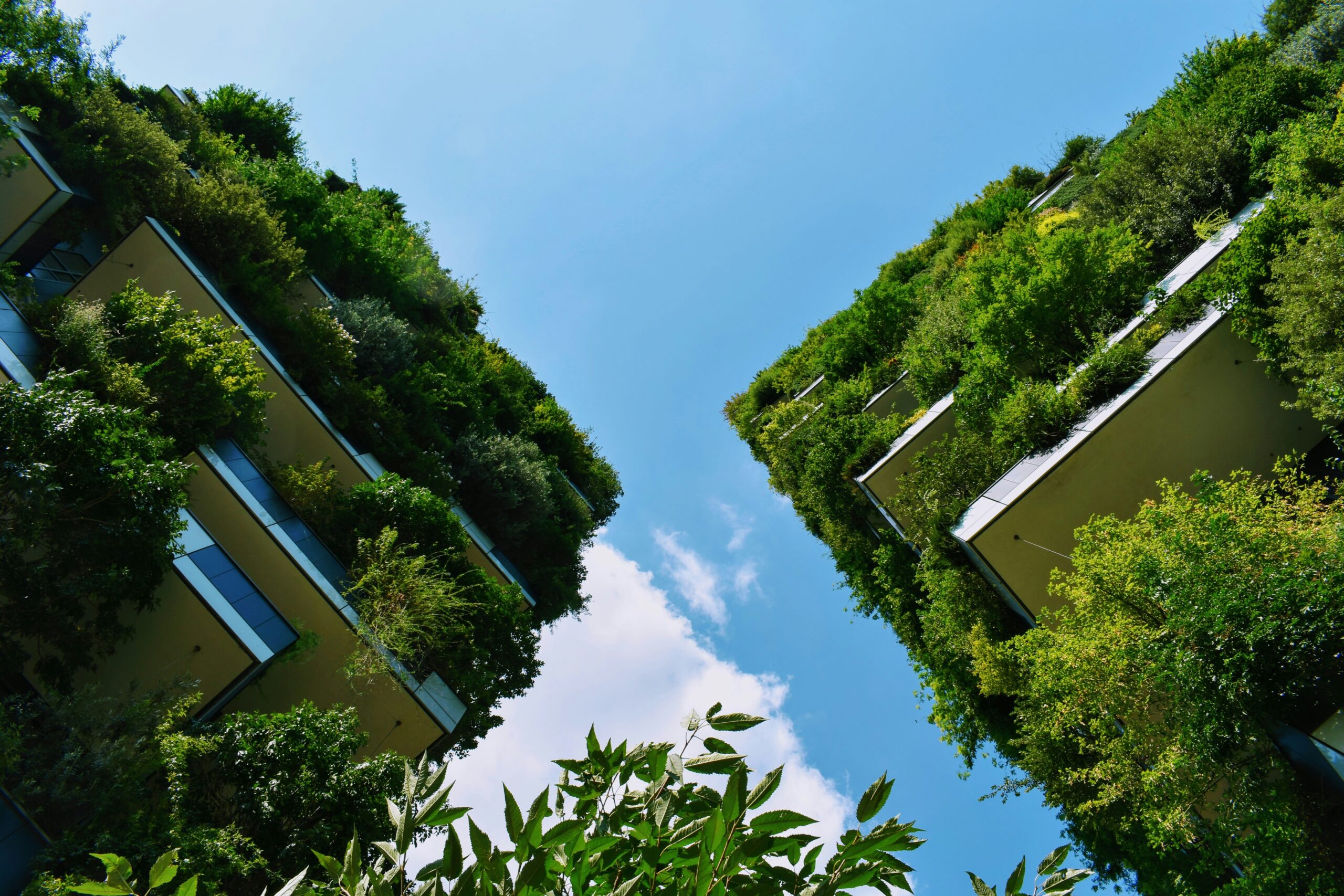 You can’t decarbonise what you can’t see: why supplier data is the missing piece of Scope 3 You can’t decarbonise what you can’t see: why supplier data is the missing piece of Scope 3
