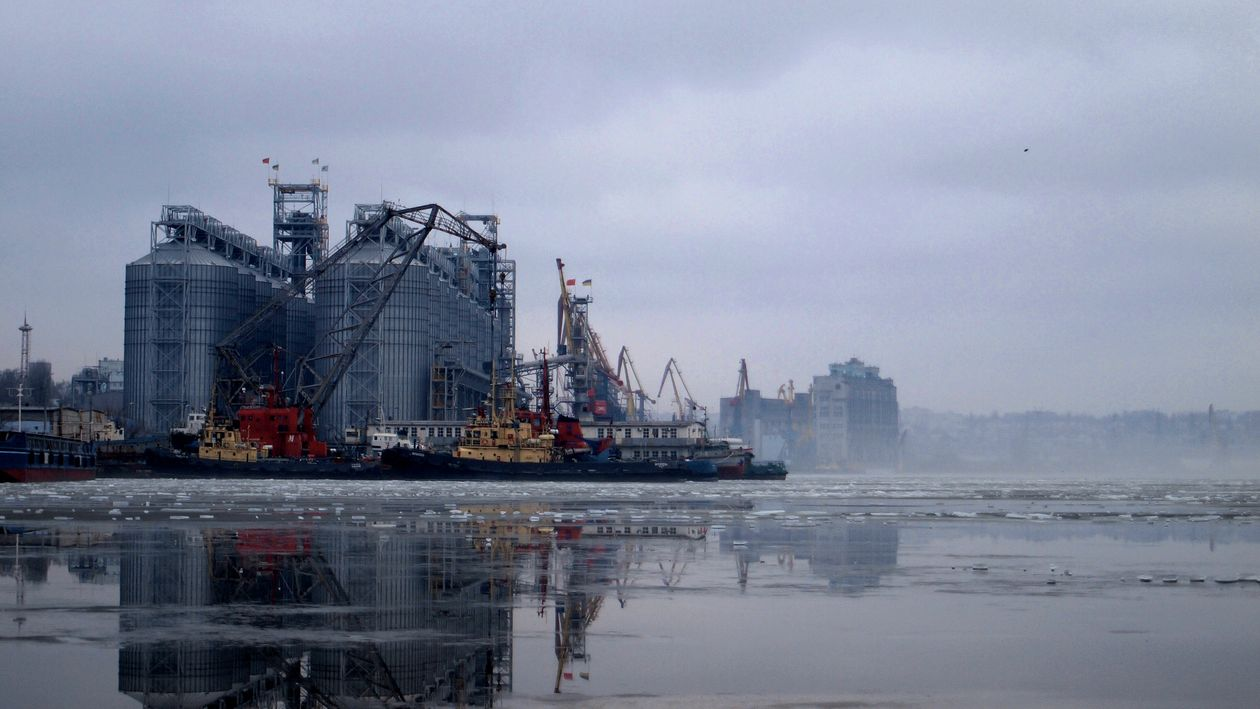 INBULK extends digital grain corridors into Egypt
