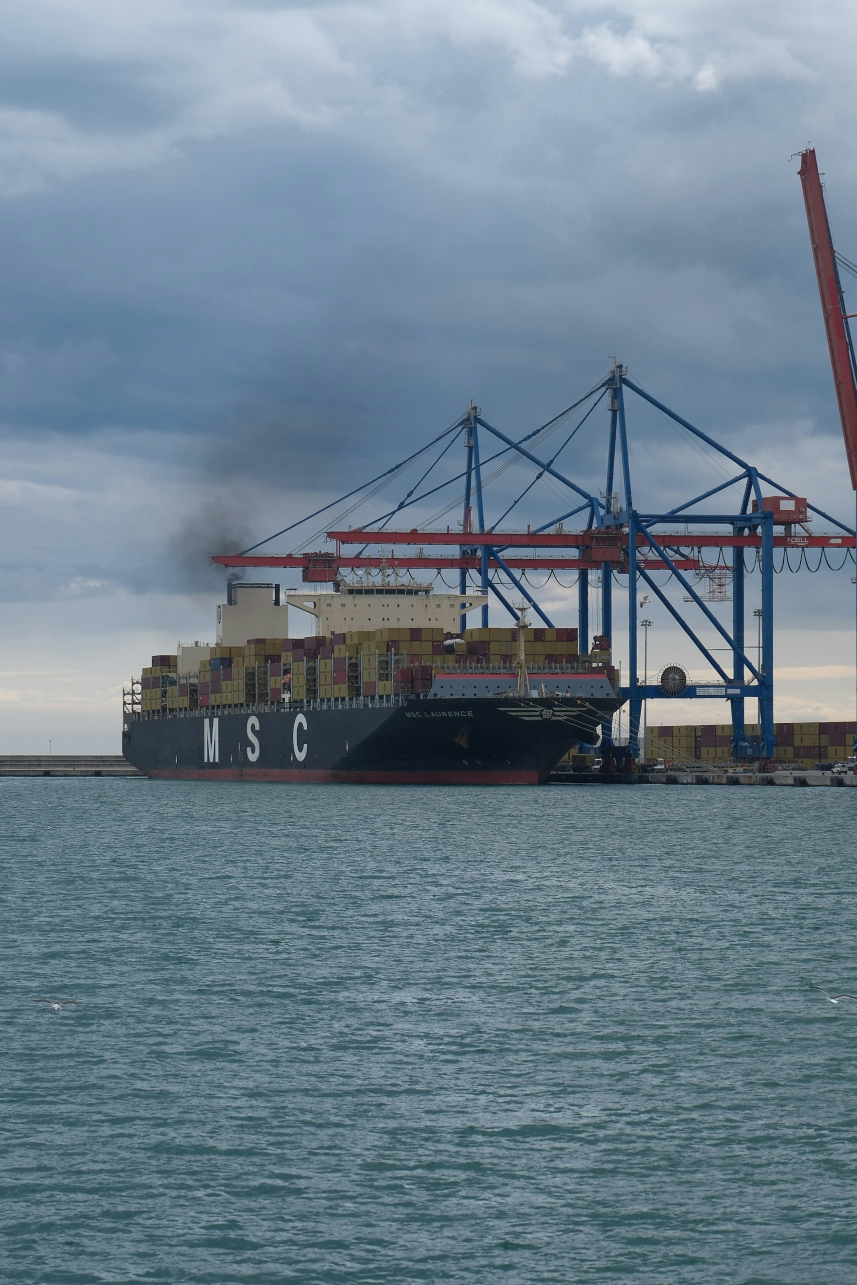 EU survey shows trade risks reshaping supply chains EU survey shows trade risks reshaping supply chains